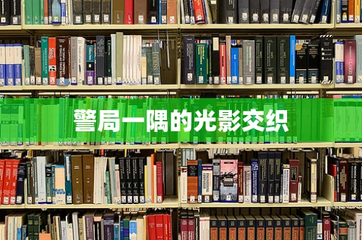 警局一隅的光影交织
