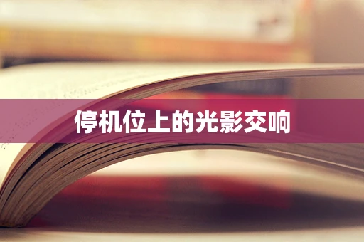 停机位上的光影交响