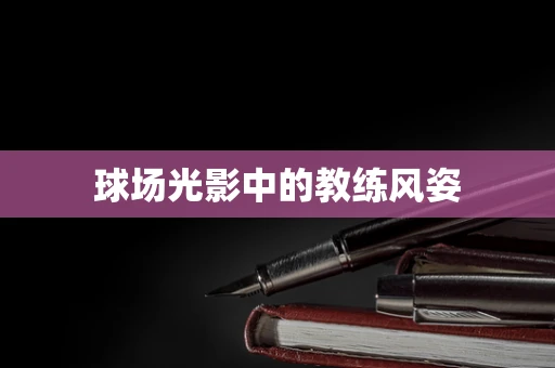 球场光影中的教练风姿