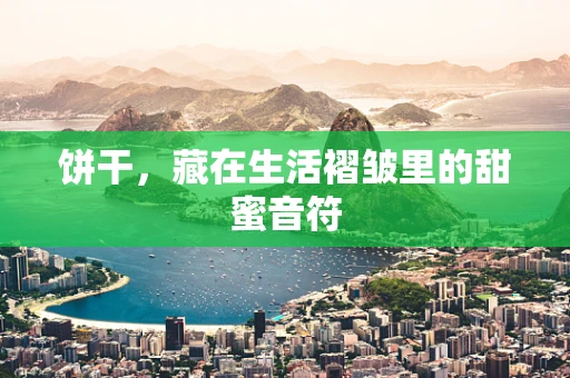 饼干，藏在生活褶皱里的甜蜜音符