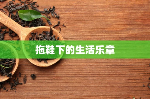拖鞋下的生活乐章