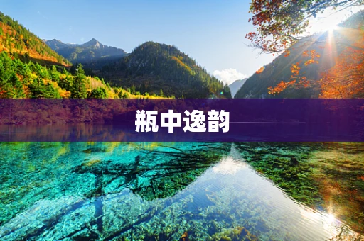 瓶中逸韵