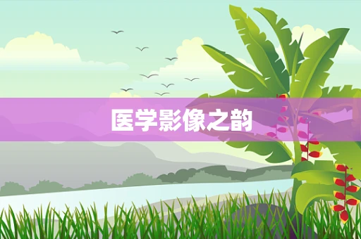 医学影像之韵