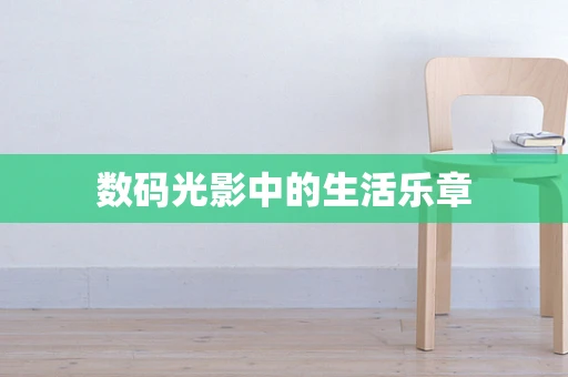 数码光影中的生活乐章