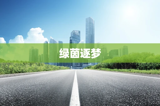 绿茵逐梦