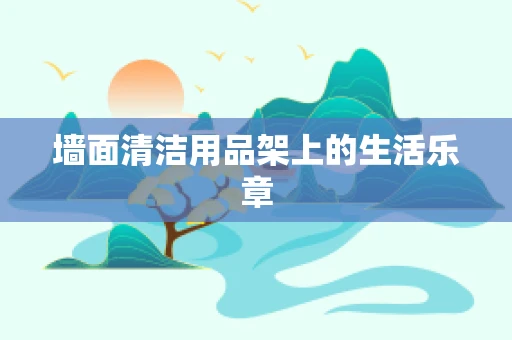 墙面清洁用品架上的生活乐章
