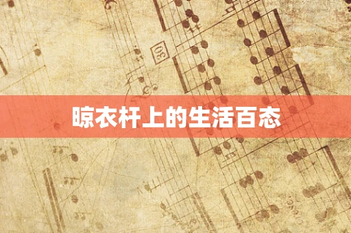 晾衣杆上的生活百态