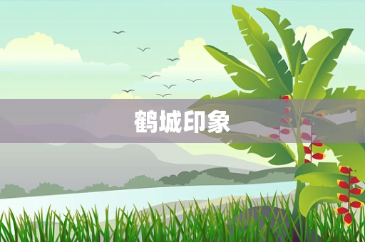 鹤城印象