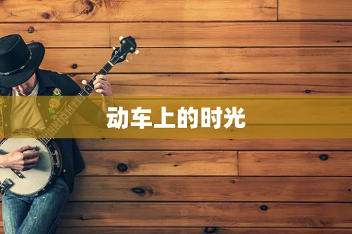 动车上的时光