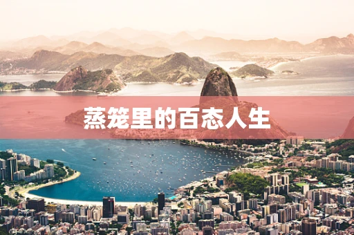 蒸笼里的百态人生