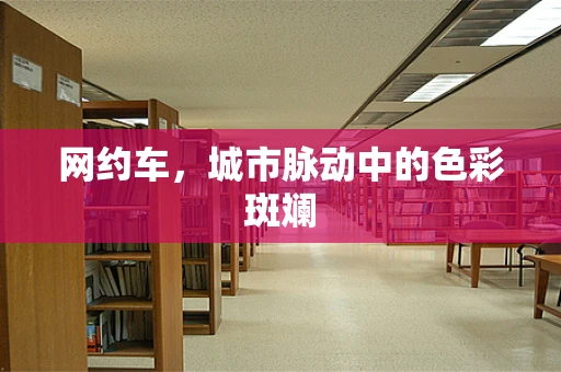 网约车，城市脉动中的色彩斑斓