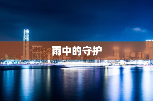 雨中的守护