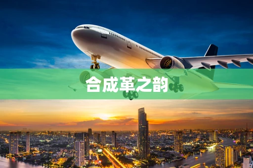 合成革之韵