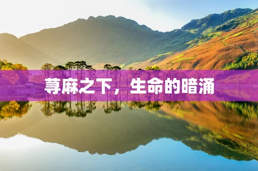 荨麻之下，生命的暗涌