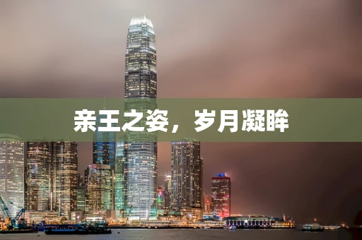亲王之姿，岁月凝眸