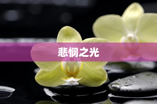 悲悯之光