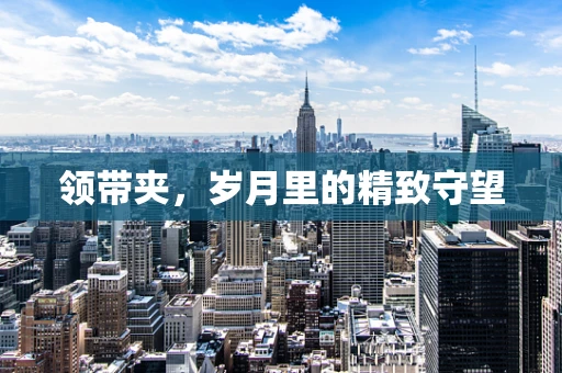领带夹，岁月里的精致守望