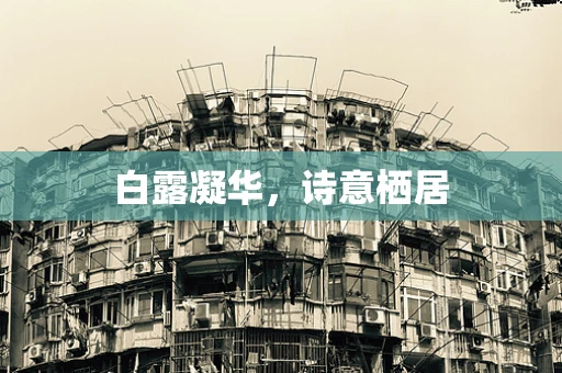 白露凝华，诗意栖居