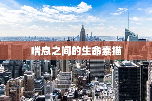 喘息之间的生命素描