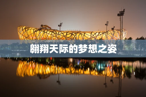 翱翔天际的梦想之姿