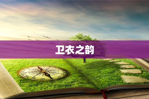 卫衣之韵
