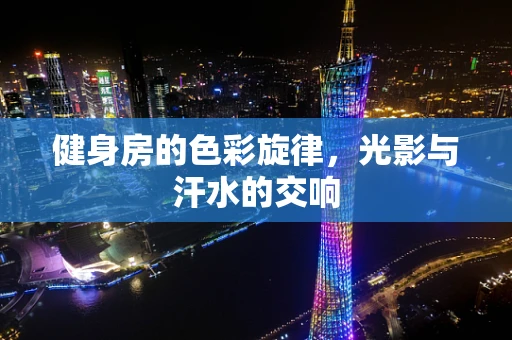 健身房的色彩旋律，光影与汗水的交响