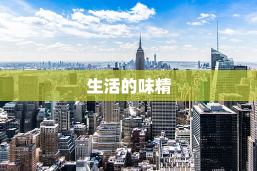 生活的味精