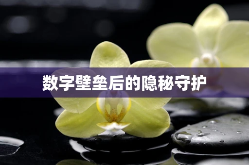 数字壁垒后的隐秘守护