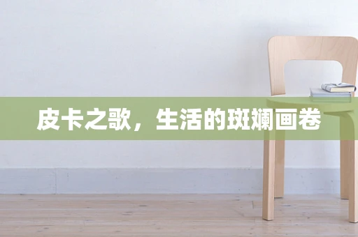 皮卡之歌，生活的斑斓画卷