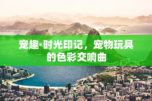 宠趣·时光印记，宠物玩具的色彩交响曲