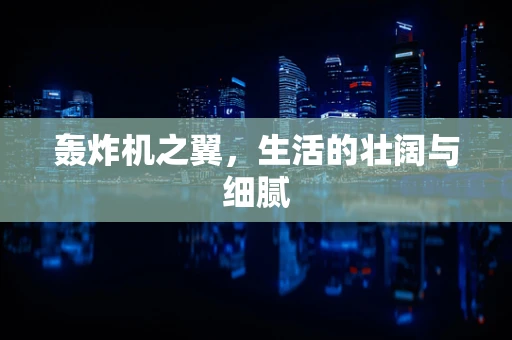轰炸机之翼，生活的壮阔与细腻