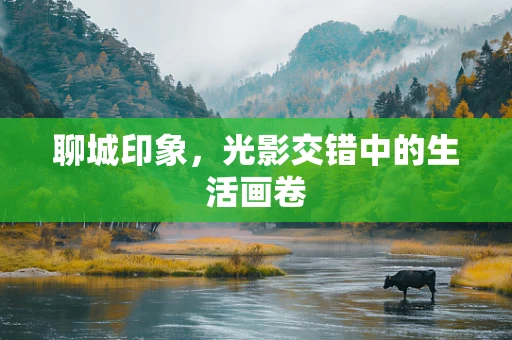聊城印象，光影交错中的生活画卷