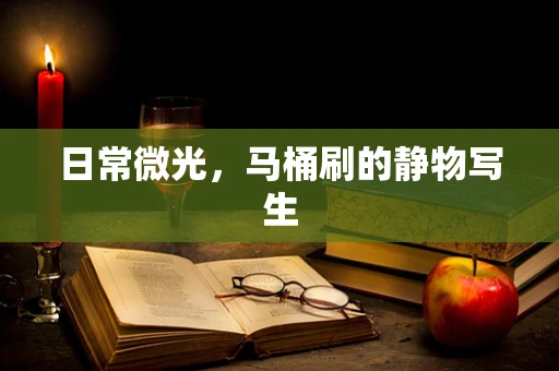 日常微光，马桶刷的静物写生