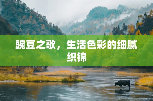 豌豆之歌，生活色彩的细腻织锦