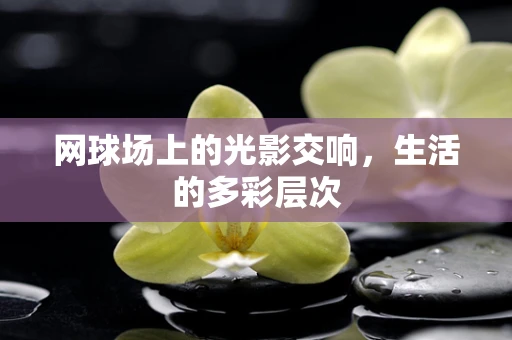 网球场上的光影交响，生活的多彩层次