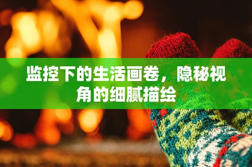 监控下的生活画卷，隐秘视角的细腻描绘