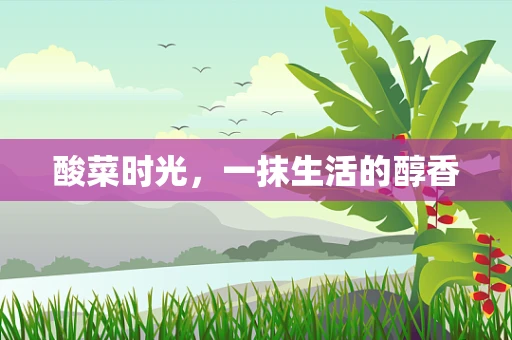 酸菜时光，一抹生活的醇香