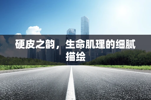 硬皮之韵，生命肌理的细腻描绘