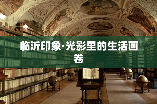 临沂印象·光影里的生活画卷