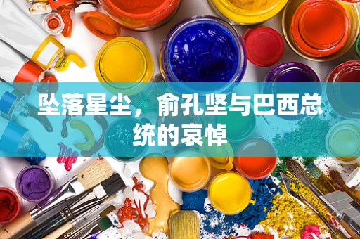 坠落星尘，俞孔坚与巴西总统的哀悼