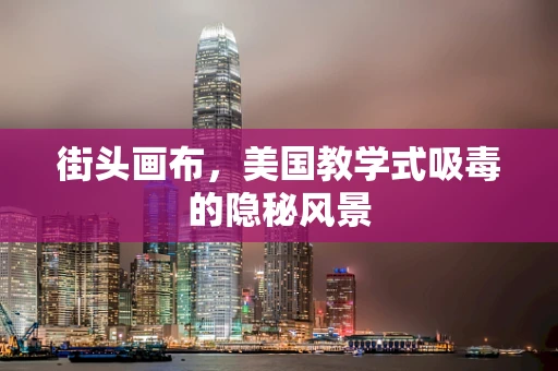街头画布,美国教学式吸毒的隐秘风景 街头画布,美国教学式吸毒的隐秘风景