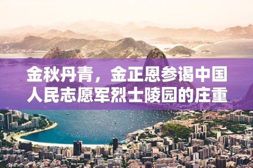 金秋丹青，金正恩参谒中国人民志愿军烈士陵园的庄重时刻