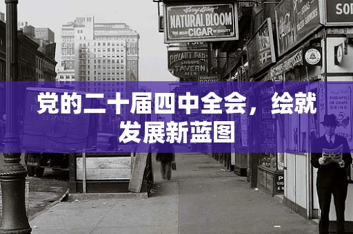 党的二十届四中全会，绘就发展新蓝图